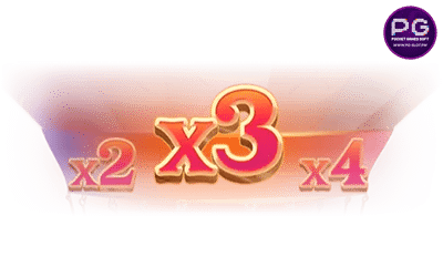 ฟีเจอร์ Multiplier SW